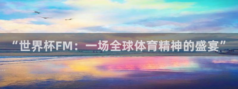 世界杯决赛直播：“世界杯FM：一场全球体育精神的盛宴”