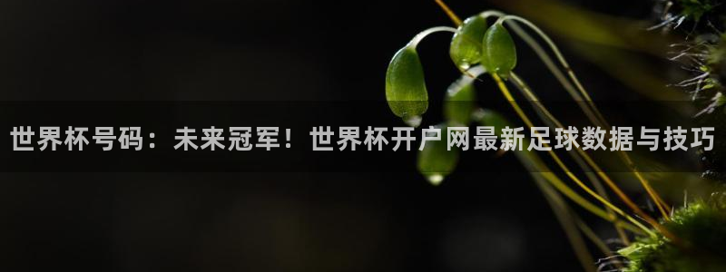 2026足球世界杯赛程时间表：世界杯号码：未来冠军！世界杯开户网最新足球数据与技巧