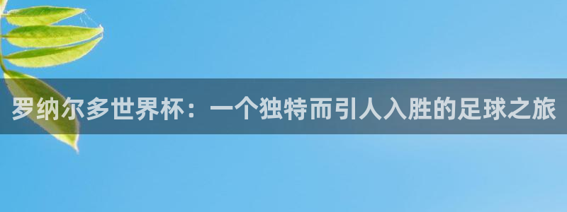 欧洲世预赛赛程表：罗纳尔多世界杯：一个独特而引人入胜的足球之旅