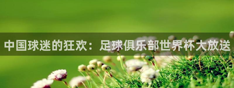 世界杯小组赛赛程：中国球迷的狂欢：足球俱乐部世界杯大放送