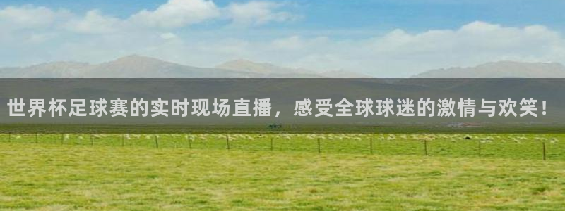 2026世界杯官网入口：世界杯足球赛的实时现场直播，感受全球球迷的激情与欢笑！