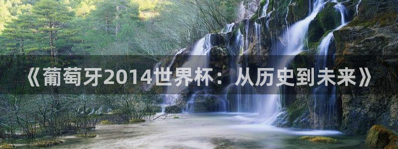 足球世界杯赛程：《葡萄牙2014世界杯：从历史到未来》