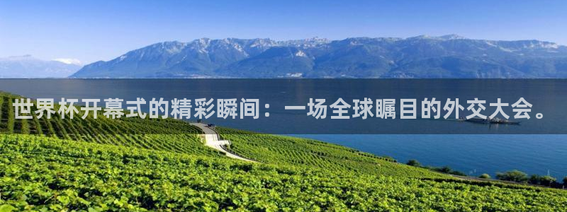 世界杯预选赛亚洲区积分榜：世界杯开幕式的精彩瞬间：一场全球瞩目的外交大会。