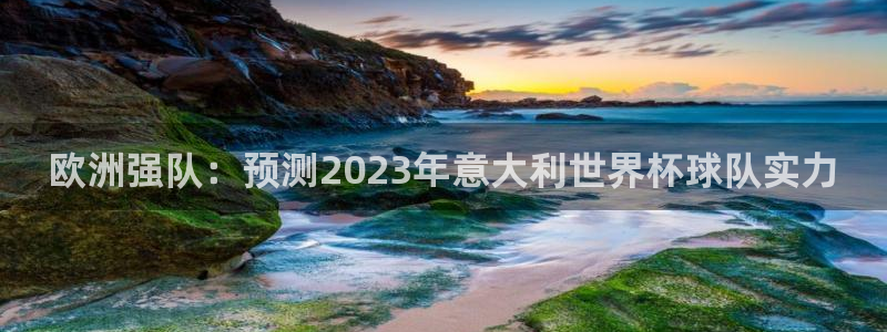 美国世界杯：欧洲强队：预测2023年意大利世界杯球队实力