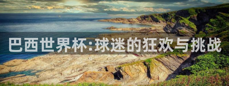 英格兰联赛杯直播：巴西世界杯:球迷的狂欢与挑战