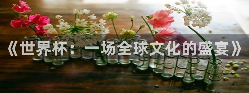 世界杯比赛：《世界杯：一场全球文化的盛宴》