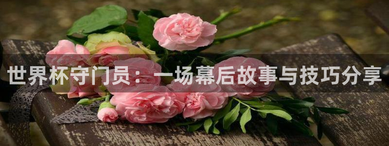 美国世界杯：世界杯守门员：一场幕后故事与技巧分享