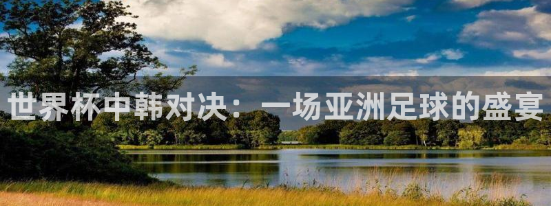 世界杯对阵表：世界杯中韩对决：一场亚洲足球的盛宴