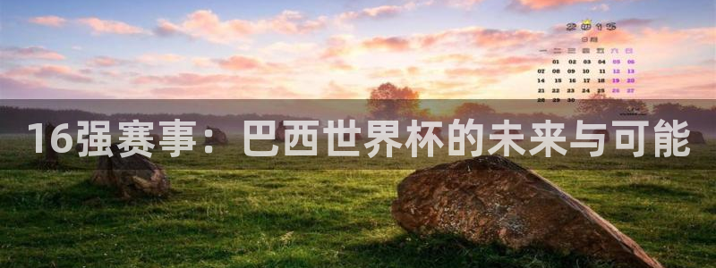 世界杯预选赛：16强赛事：巴西世界杯的未来与可能