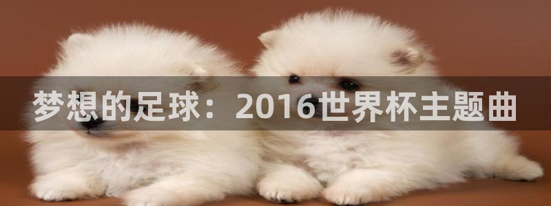 世界杯2026赛制：梦想的足球：2016世界杯主题曲